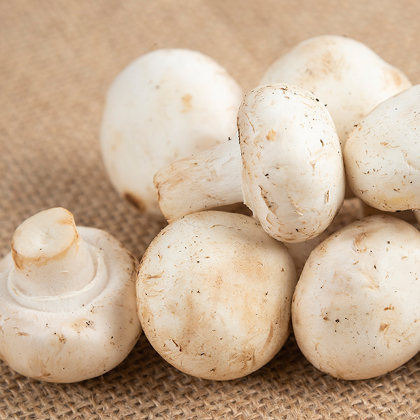 5c23359f7a464b85073f7ff293a1ce66_1764117554_577.jpg 5c23359f7a464b85073f7ff293a1ce66_1764117554_577.jpg