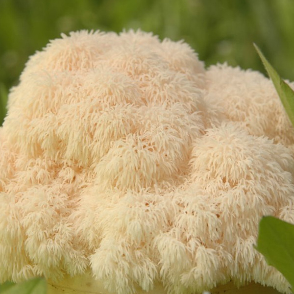 d6c141301f22523dd107f2707418b532_1765504787_1915.jpg d6c141301f22523dd107f2707418b532_1765504787_1915.jpg